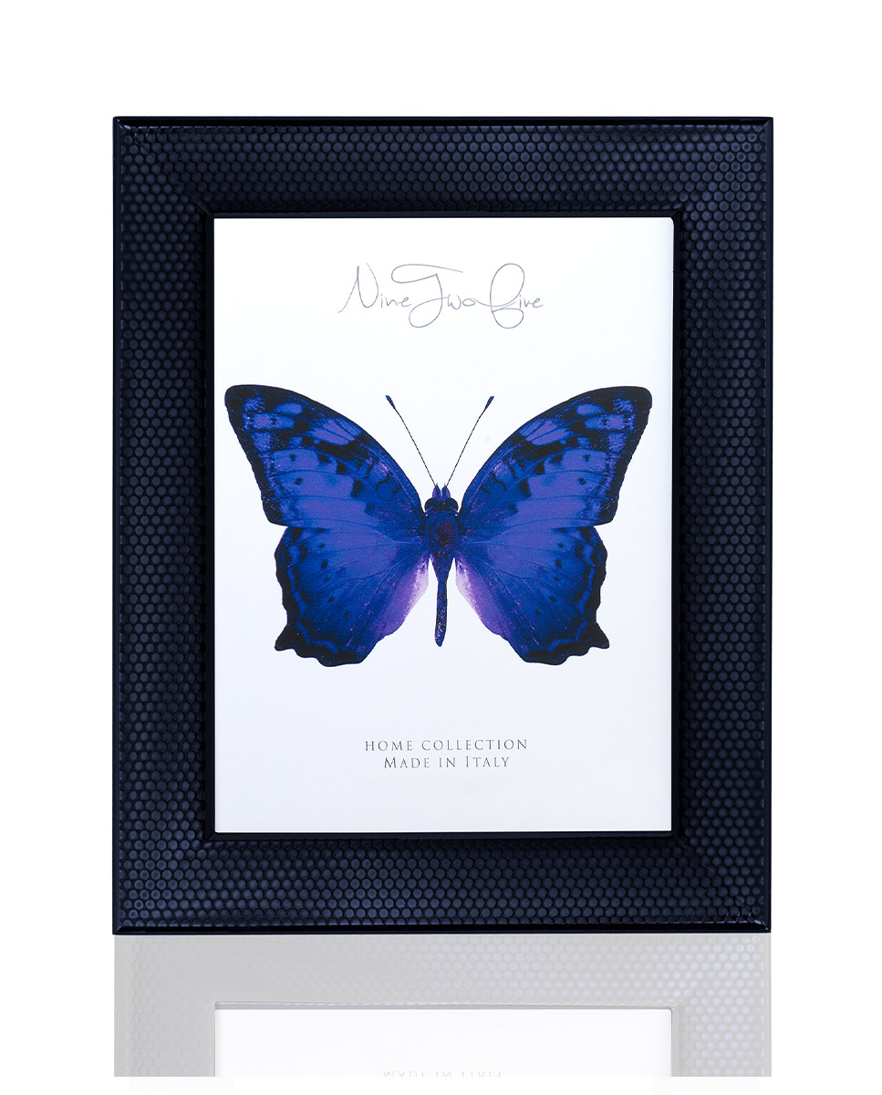 "The Fence" Midnight Blue Edition "The Fence" Midnight Blue Edition